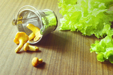 Food ingridients: salad and chanterelles in a small bucket on a wooden table..