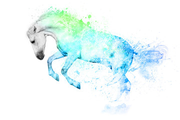 Plakat White horse in blue and green paint stains