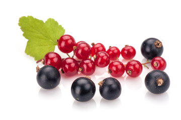 Red currant