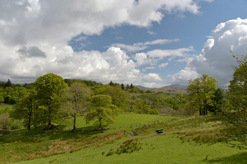 Fields in Little Langdale, English Lake District