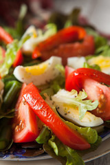 Fresh healthy salad with tomatoes