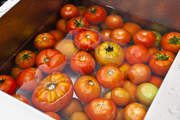 Tomatoes being washed