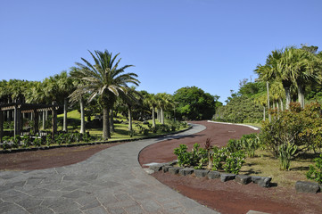 八丈植物公園