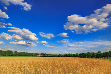 Castle Seehof Park in Bavaria near Bamberg, Germany in Summer