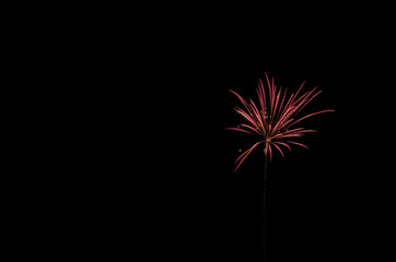 Fototapeta premium beautiful red firework explosion isolated on a black background with ample copy space for text