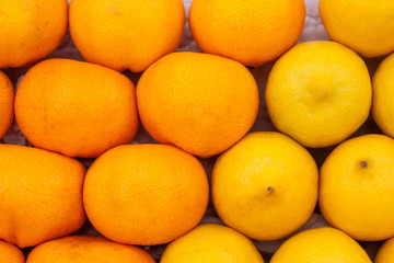 Background of oranges