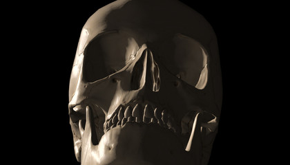 Human skull with dark background. Death, horror, anatomy and halloween symbol. 