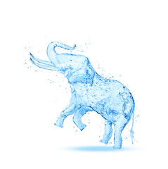 Elephant water splash isolated on white background