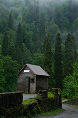 Fototapeta na wymiar House in the forest