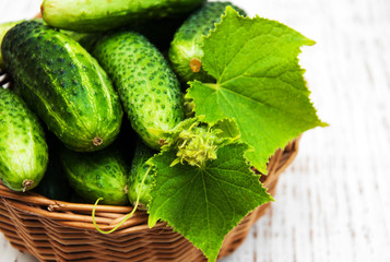Fresh cucumbers