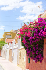 Typical street view in south spanish town. Torrevieja, Spain.