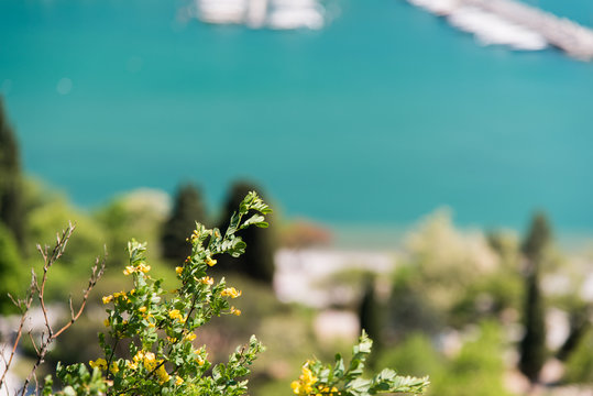The castle of Duino and the beauty of the cliffs on the rocky coast