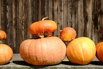 Pumpkins and leaves against a rustic old wood background