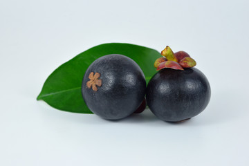Mangosteens on white background.