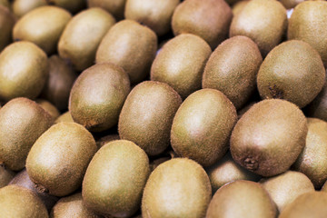 Good quality kiwi fruit in stock ready to be distributed at the market.