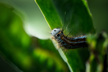 Les couleurs cachées...