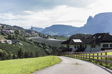 Fototapeta na wymiar Süd Tirol Tal