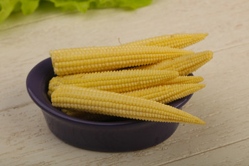 Young baby corn