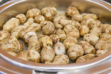 Boiled taro.in the tray