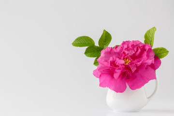 Bouquet of white wild roses in a vase.
