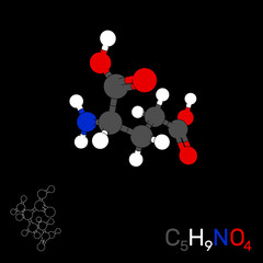 Glutamic acid model molecule. Isolated on black background. Vector illustration.