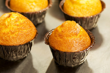 muffin cupcake cake bakeds