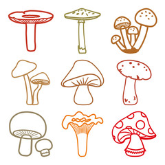 Fototapeta na wymiar Colorful mushrooms set. Outline design. Different cartoon mushrooms. Vector illustration.