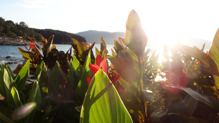 Abendlicht in Kroatien © Christine