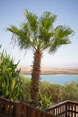 Dead sea Kalia beach Israel
