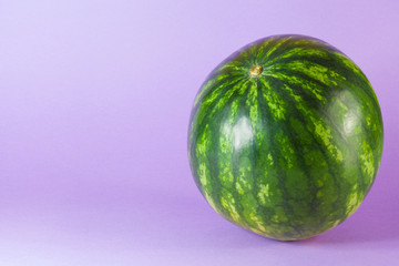 Tiny watermelon isolated on lilac background