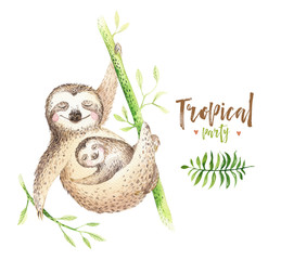 Baby animals sloth nursery isolated painting. Watercolor boho tropical drawing, child tropical illustration. cute palm tree leaves, tropic green texture, exotic flower. Aloha drawing