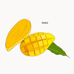 mango Hand drawn. Vintage style