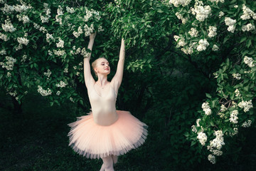 Ballerina dancing outdoors classic ballet poses in flowers landscape