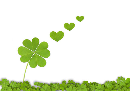 Tréboles de cuatro hojas sobre fondo blanco, buena suerte, aislado, corazones, verde, fondo, ilustración