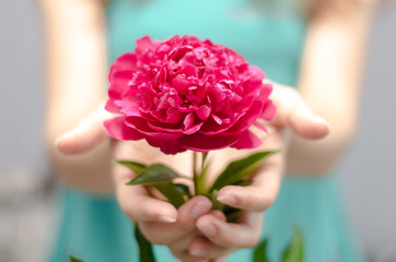 Flower in girl hand. Girl holding flower in hands in front of herself.