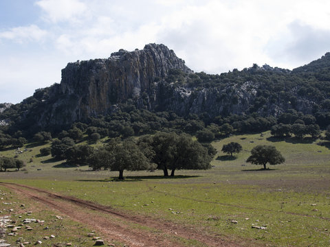 Montejaque. Serran&iacute;a de Ronda / Montejaque. Serrania de Ronda. M&aacute;laga