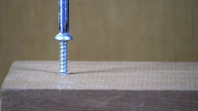 A pan head screw is tightened in maple board by hand with phillips head screwdriver on left side.  Macro shot from slight high angle looking down with wood background.