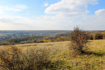 Autumn landscape with trees, hills and sky