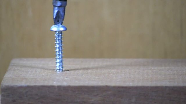 A pan head screw is tightened in maple board with cordless drill & phillips head bit on left side.  Macro shot from slight high angle looking down with wood background.  Audio included in clip