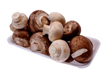 Mushrooms champignons lie on a white tray, isolated on a white background