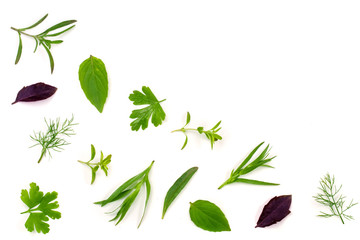 Fresh spices and herbs isolated on white background. Dill parsley basil thyme tarragon. Top view