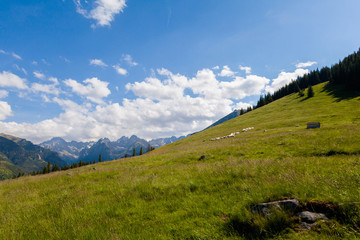 Beautiful Tatry Rusinowa Polana landscape © sitriel