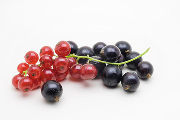 Red currant branch and black currant isolated on white background