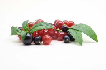 Red and black currant with mint leaves on white background