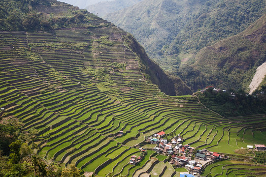 Panoramic view of the Batad rice field terraces in Ifugao province, Banaue, Philippines