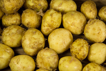 Raw new potato background