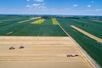 Combine harvesters working in golden wheat field