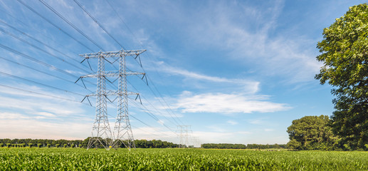 Electricity pylons and cables in an agricultural landscape with silage maize cultivation