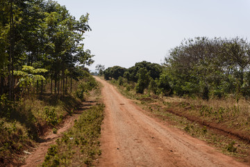 Fototapeta na wymiar African Road.