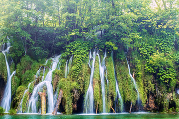 Fototapety na wymiar - Fototapeta24.pl